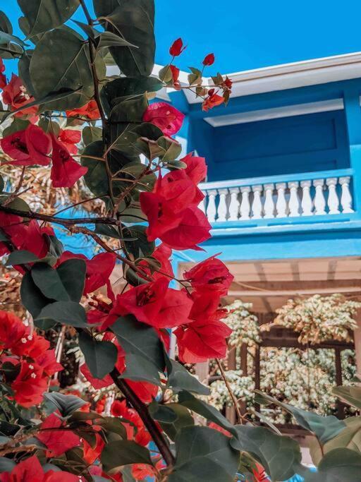 Vacation Home Blue Lotus Cayo Caulker Exterior foto