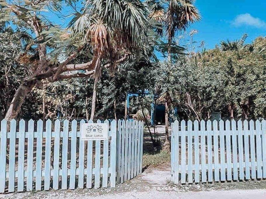 Vacation Home Blue Lotus Cayo Caulker Exterior foto